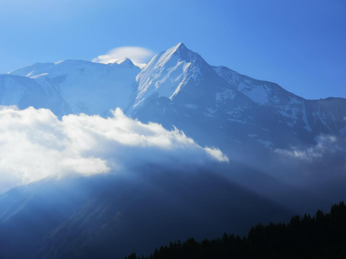 شقة Duo Des Alpages Vue Exceptionnelle Sur Le Mont Blc سا جيرفي لي با المظهر الخارجي الصورة